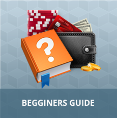Beginners Guide